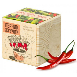 Экокуб "Перчик" (сувенирный семенной материал)
