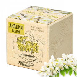 Экокуб "Акация" (сувенирный семенной материал) 