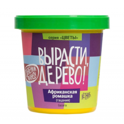 Ромашка африканская (сувенирный семенной материал)